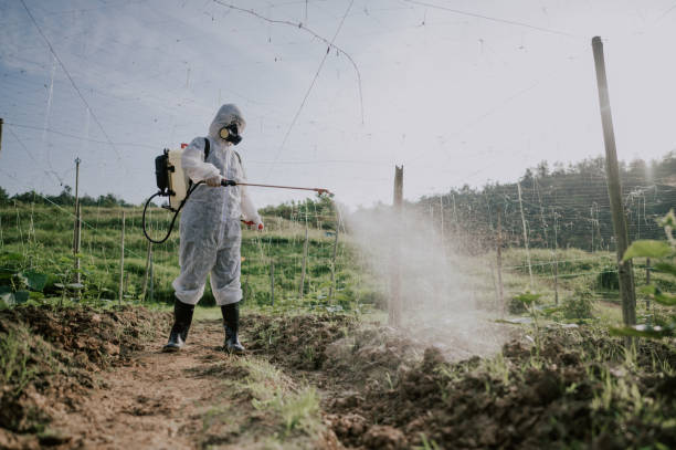 Best Wasp Removal Services  in Brush Prairie, WA
