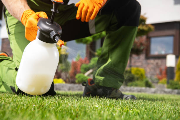 Best Wildlife Control Services  in Brush Prairie, WA