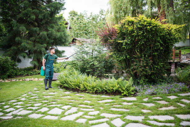 Best Flea Control Services  in Brush Prairie, WA
