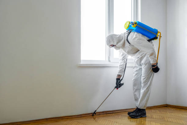 Trusted Brush Prairie, WA Pest Control Experts