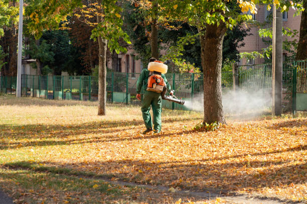 Best Insect Control  in Brush Prairie, WA