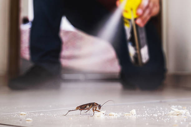 Best Pest Removal Services  in Brush Prairie, WA